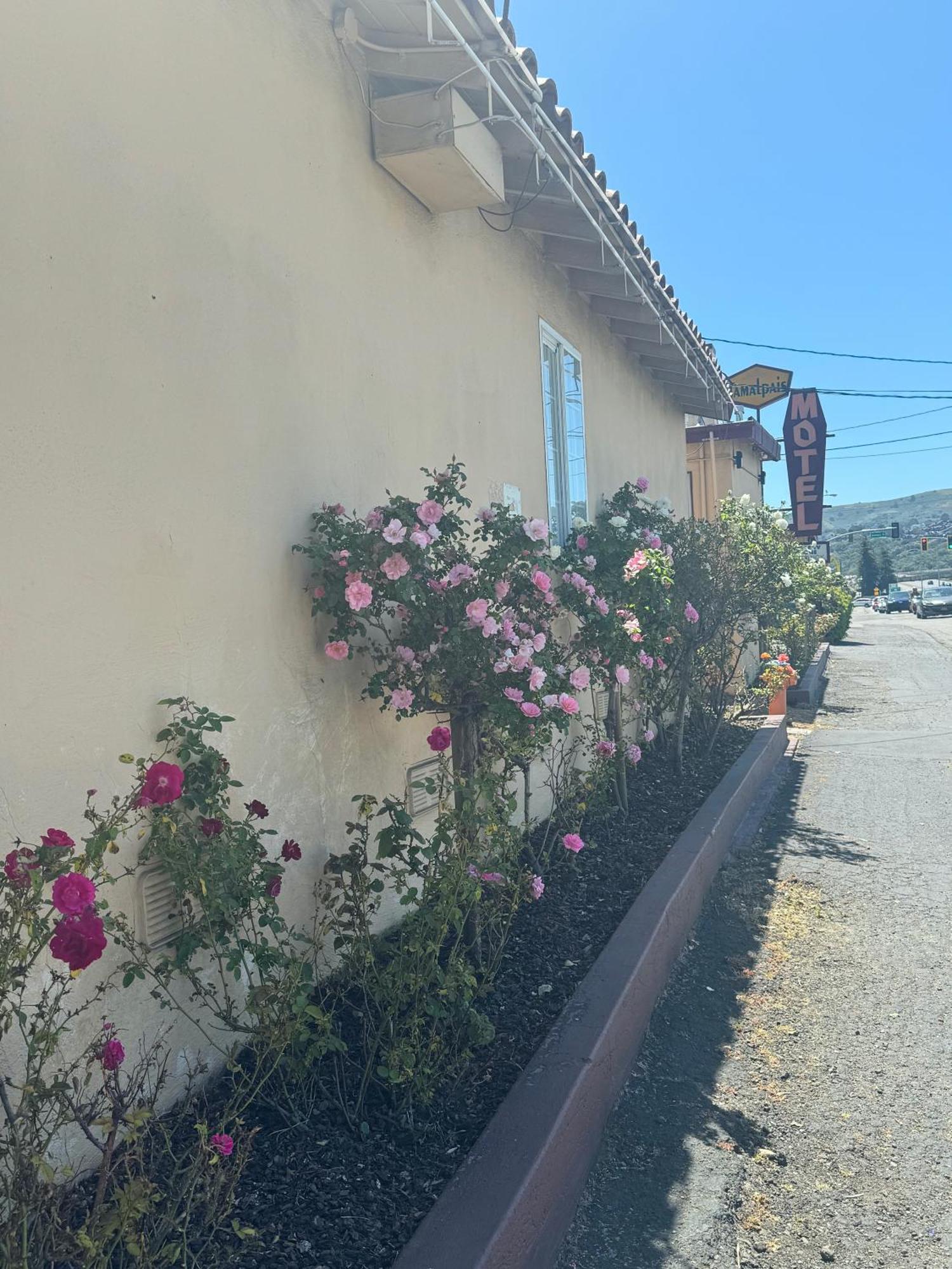 Tamalpais Motel Mill Valley Luaran gambar